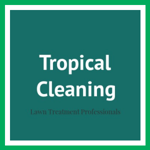 Tropical Cleaning Logo