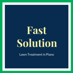 Fast Solution Logo