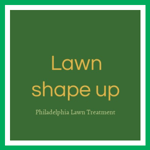 Lawn shape up Logo