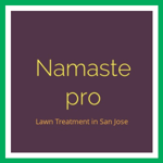 Namaste pro Logo