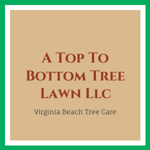 A Top To Bottom Tree Lawn Llc Logo