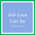 Dels Lawn Care Inc Logo