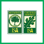 Juan Sanchez Tree Service Llc Logo