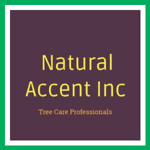 Natural Accent Inc Logo