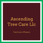 Ascending Tree Care Llc Logo