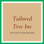 Tailored Tree Inc Logo