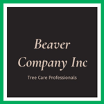 Beaver Company Inc Logo