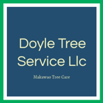 Doyle Tree Service Llc Logo