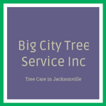Big City Tree Service Inc Logo