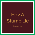 Hav A Stump Llc Logo