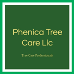 Phenica Tree Care Llc Logo