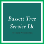 Bassett Tree Service Llc Logo