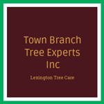 Town Branch Tree Experts Inc Logo