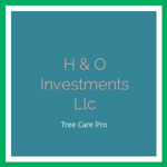H & O Investments Llc Logo
