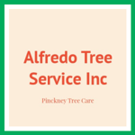 Alfredo Tree Service Inc Logo