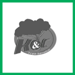 K & C Trees & Landscaping Service Llc Logo