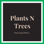 Plants N Trees Logo