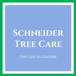 Schneider Tree Care Logo