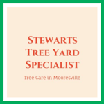 Stewarts Tree Yard Specialist Logo
