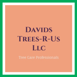 Davids Trees-R-Us Llc Logo