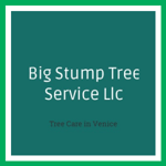 Big Stump Tree Service Llc Logo