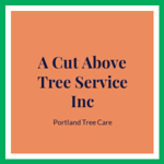 A Cut Above Tree Service Inc Logo