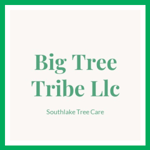 Big Tree Tribe Llc Logo