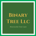 Binary Tree Llc Logo