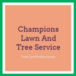 Champions Lawn And Tree Service Logo