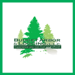 Budget Arbor &amp; Logging Llc Logo