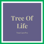 Tree Of Life Logo