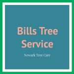Bills Tree Service Logo