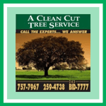 Brevard Tree Service Logo
