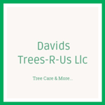 Davids Trees-R-Us Llc Logo