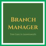 Branch Manager Logo