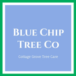 Blue Chip Tree Co Logo