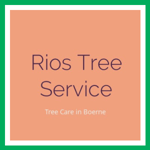 Rios Tree Service Logo