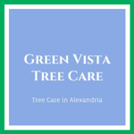 Green Vista Tree Care Logo