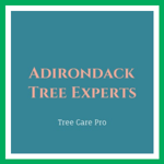 Adirondack Tree Experts Logo