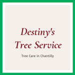 Destiny's Tree Service Logo