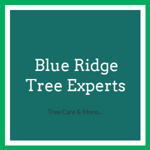 Blue Ridge Tree Experts Logo