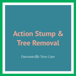 Action Stump & Tree Removal Logo