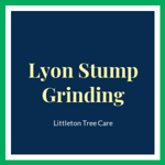 Lyon Stump Grinding Logo