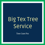 Big Tex Tree Service Logo