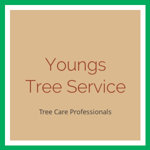 Youngs Tree Service Logo