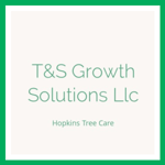 T&S Growth Solutions Llc Logo
