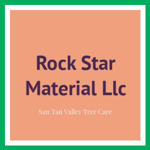 Rock Star Material Llc Logo