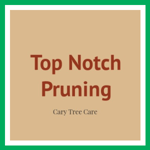 Top Notch Pruning Logo