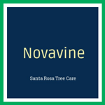 Novavine Logo