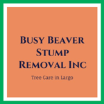 Busy Beaver Stump Removal Inc Logo